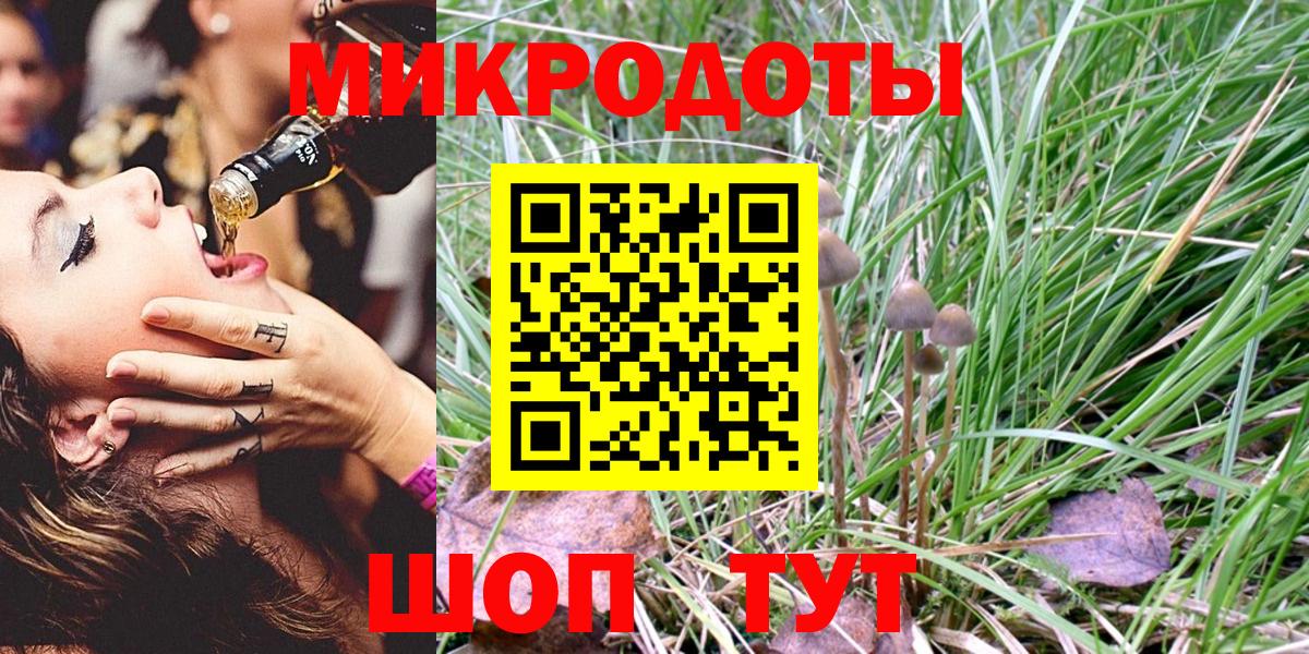 Назарово  Псилоцибиновые грибы Psilocybe  Вход с VPN 